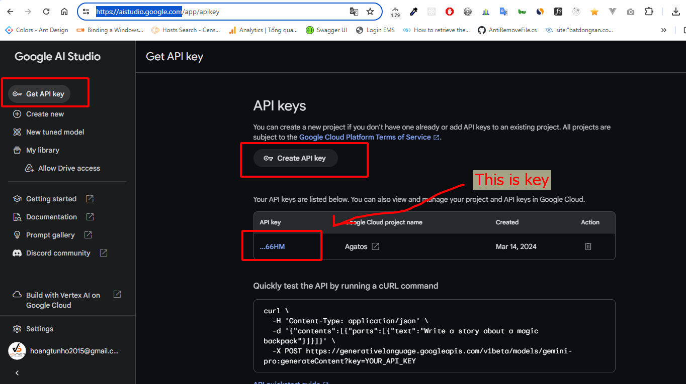 Hướng Dẫn Lấy API Từ Gemini AI Miễn Phí